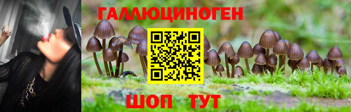 Псилоцибиновые грибы ЛСД  Вход с VPN  Усолье-Сибирское 